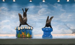 海狮05ev最新爆料,揭秘最新爆料背后的技术革新与市场前景